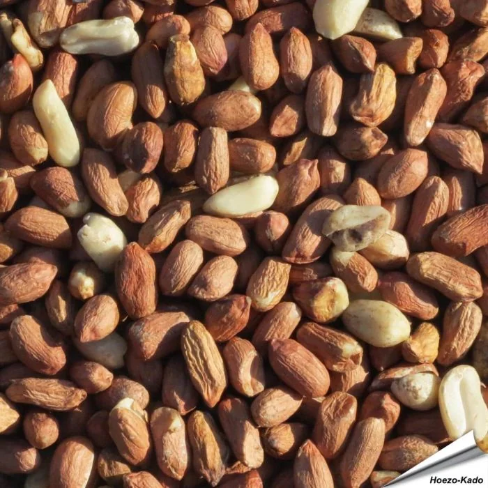 Premium Erdnüsse (5 kg)