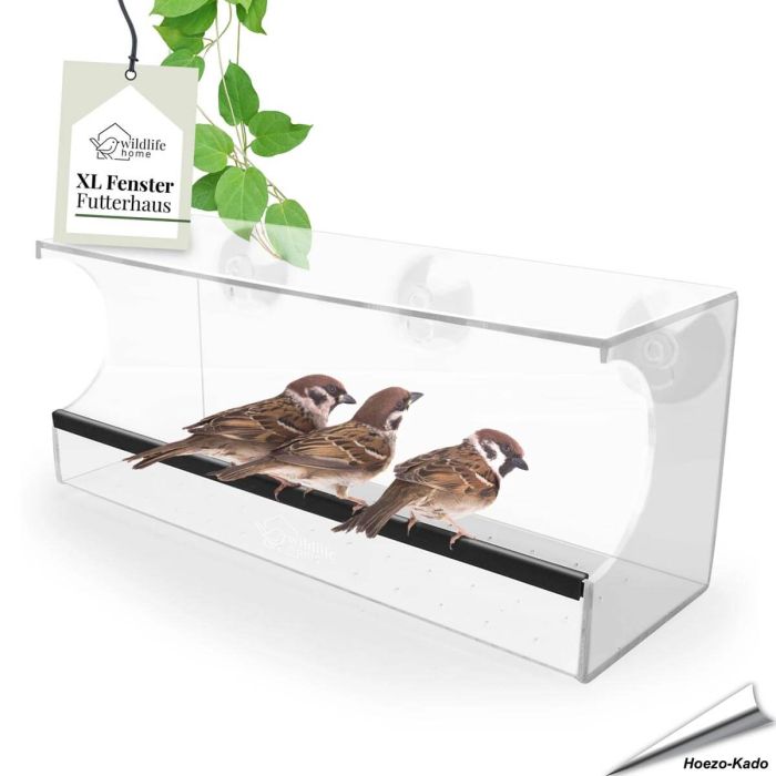 Fenster-Futterhaus Family von Wildlife Home online bestellen? www.hoezo-kado.de