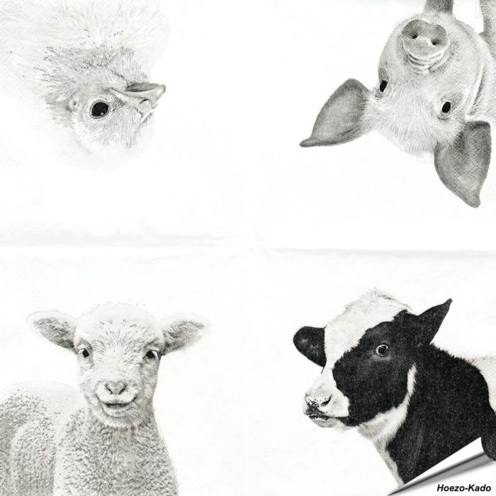 Hochwertige 3-lagige Servietten mit Bauernhoftieren-Motiv ✔️ Bringe das Landleben auf den Tisch ✔️ FSC-zertifiziert, biologisch abbaubar ➤ Bestelle bei Hoezo-Kado