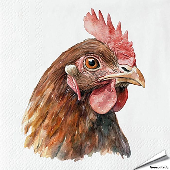 Servietten - Haushuhn | FSC | 20 Stück | Hoezo-Kado