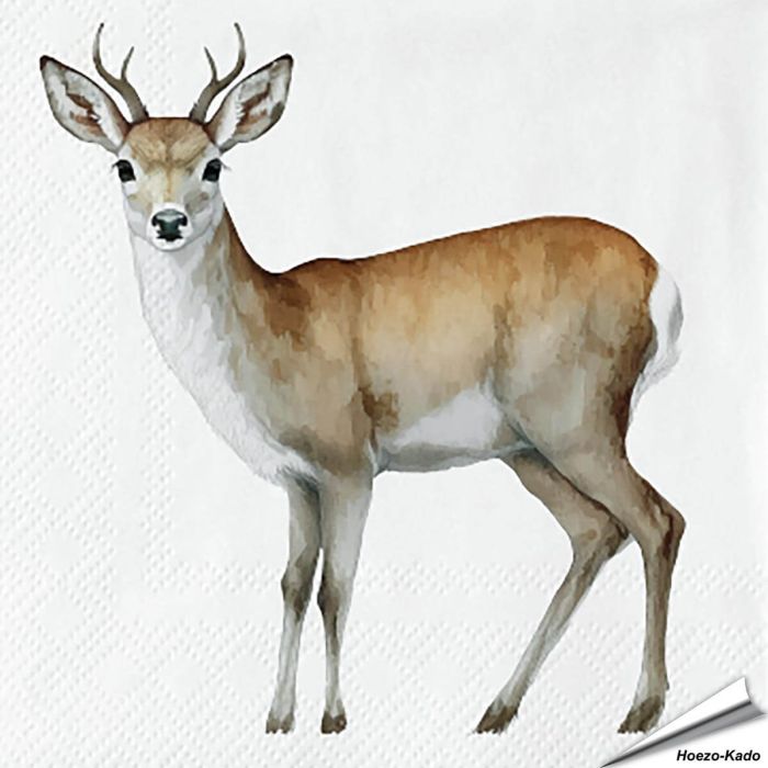 Servietten - Reh-Motiv | 20 Stück | Hoezo-Kado