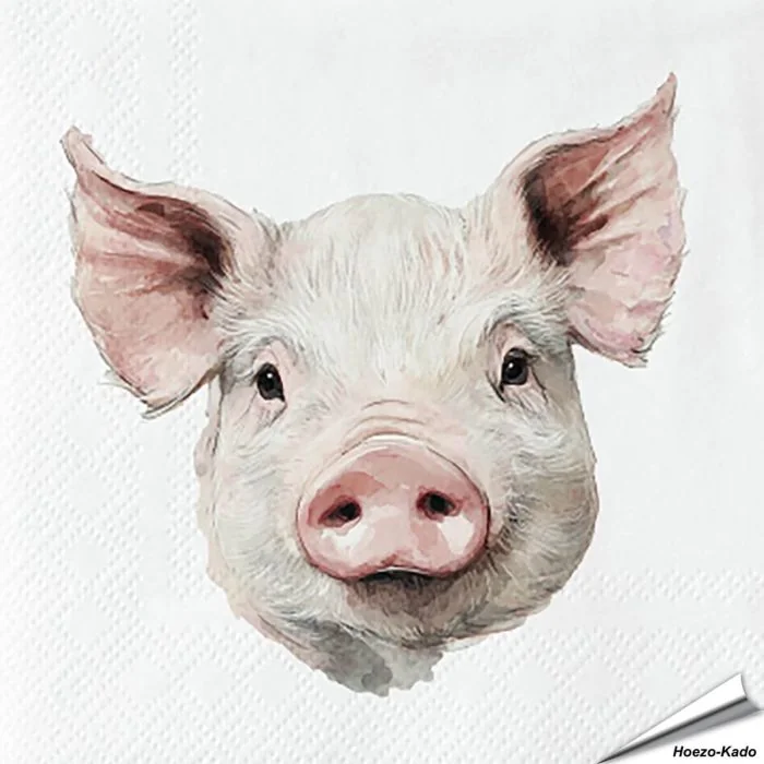 Hochwertige 3-lagige Servietten mit Schweinchen-Motiv ✔️ Bringe das Landleben auf den Tisch ✔️ FSC-zertifiziert, biologisch abbaubar ➤ Bestelle bei Hoezo-Kado