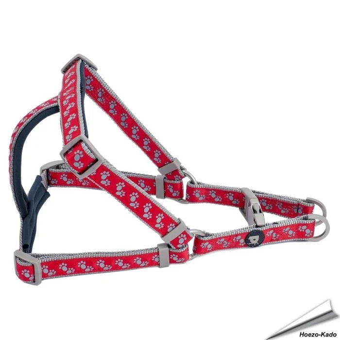 Signature - Honden tuig - rood (medium)