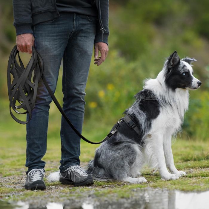 Entdecke die schwarze Schleppleine für Hunde ✔️ Stark, wetterfest und komfortabel ✔️ Wähle deine Länge und bestelle einfach online bei www.hoezo-kado.de