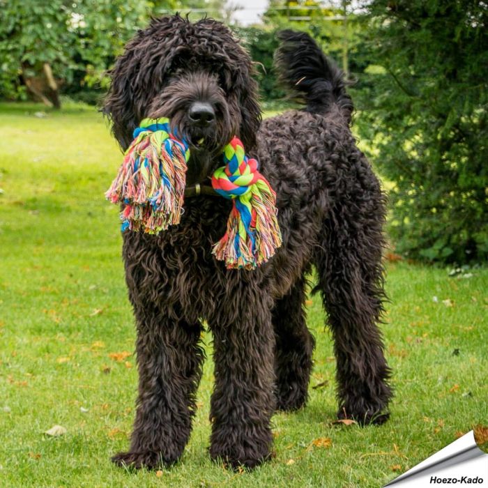 toyz - Zergeltau mit 3 Knoten (gross)