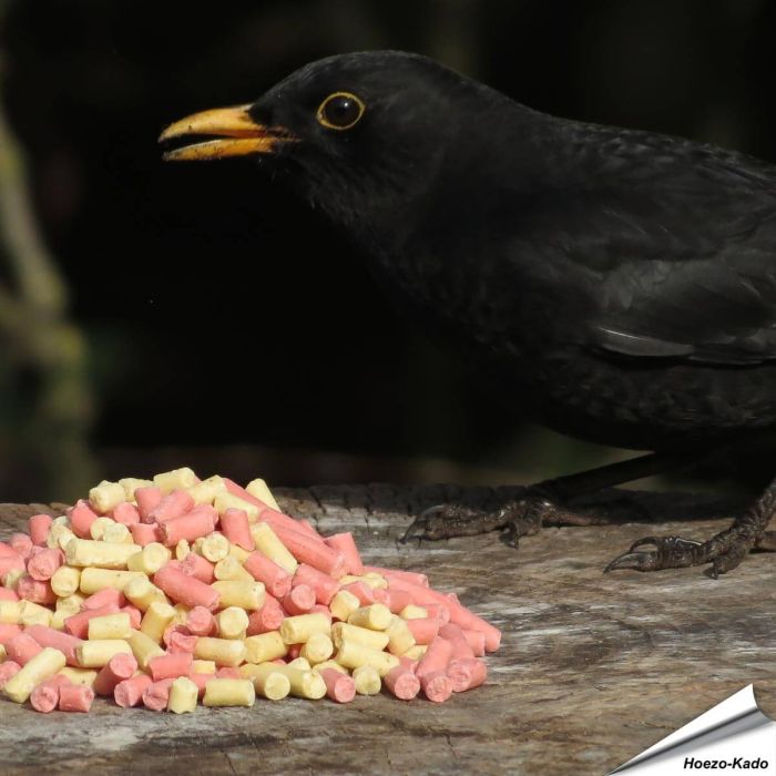 Energiereicher Leckerbissen-Mix für Gartenvögel im 10 kg Sack ✓ Mit Insekten- und Beerenpellets ✓ Premium Qualität ✓ Ganzjährige Fütterung von Wildvögel ✓ Bestelle bei Hoezo-Kado