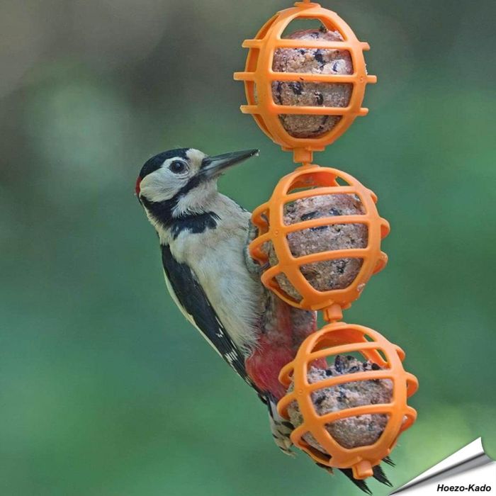Robuster, dreifacher Meisenknödelspender für Wildvögel ✔️ Einfach zu befüllen & aufzuhängen ✔️ Für Meisenknödel ohne Netz ➤ Bestelle bei Hoezo-Kado