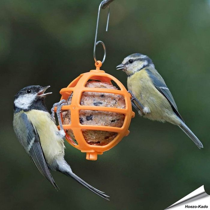 Robuster Meisenknödelhalter für Gartenvögel ✔️ Einfach zu befüllen & aufzuhängen ✔️ Ideal für Meisenknödel ohne Netz ➤ Bestelle bei Hoezo-Kado