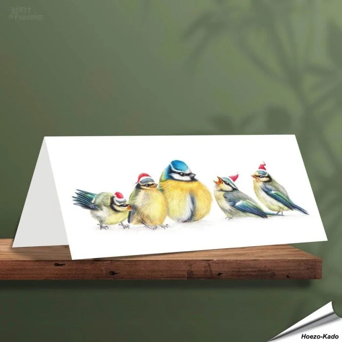 Weihnachtskarte - Mit Blaumeisenmotiven - Von Hand gezeichnet - www.hoezo-kado.de