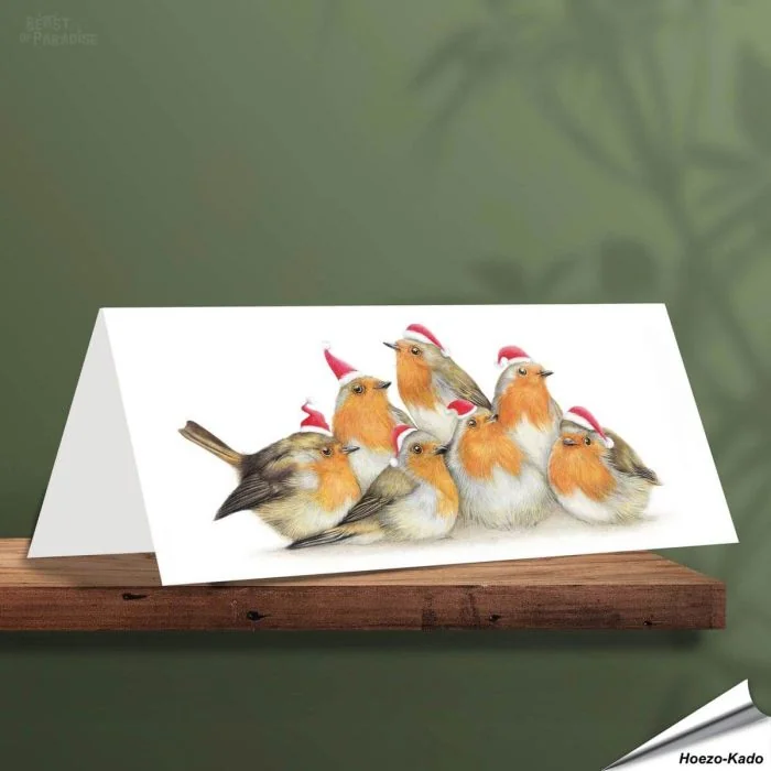 Weihnachtskarte - Mit Rotkehlchen-Motiven - Von Hand gezeichnet - www.hoezo-kado.de