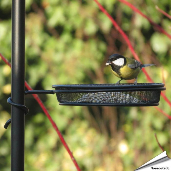 Wrap-around Futterschale (Zubehör)