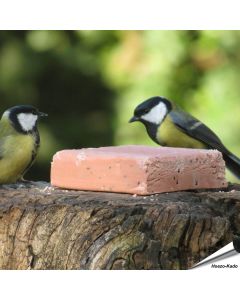 Kohlmeisen beim Energieblock - Beeren (320g)