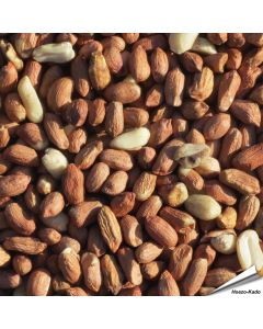 Hochwertige Erdnüsse, speziell für Wildvögel - www.hoezo-kado.de