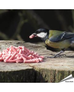 Leckerbissen mit Beeren für Vögel