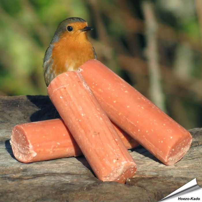 Energierollen mit Beeren / Mehlwürmer für Gartenvögel ✔️ Protein- und energiereiches Fettfutter ✔️ Ganzjährig zu verwenden ➤ Bestelle Vogelfutter bei Hoezo-Kado