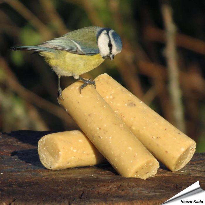 Energierollen sind eine sehr gute Nahrungsquelle für verschiedene Vogelarten und bestehen zu 100% aus natürlichen Inhaltsstoffen. Diese Variante ist neben energiereichem Fett, Weizen- und Erdnussmehl ebenfalls mit getrockneten Insekten