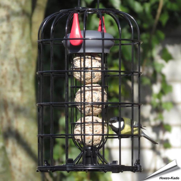 LokTop® - Meisenknödelhalter mit Schutzkorb