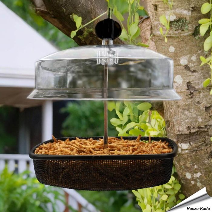 Hängender Mehlwurm-Futterspender für Wildvögel ✔️ Robuste Metallkonstruktion ✔️ Stabiles, engmaschiges Drahtgeflecht ✔️ Regenkuppel ➤ Kaufe online bei Hoezo-Kado