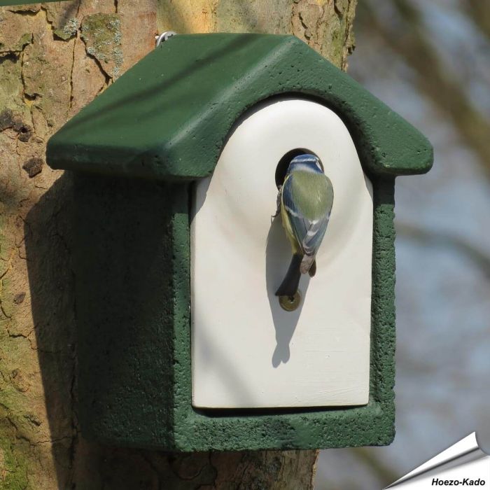 Holzbeton Nistkasten Flush - 28mm (grün)