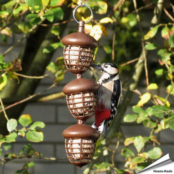 Acorn - Meisenknödelhalter für Vögel | Futterstation