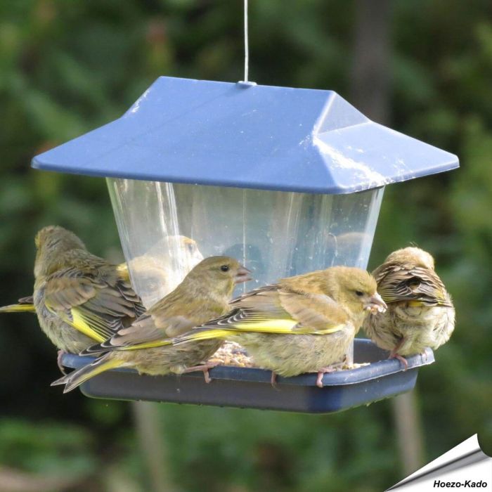 Futterhaus Cottage mit Futtersilo für Samen (dunkelblau)