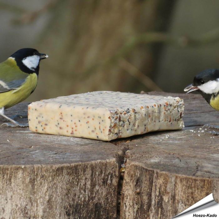 Energieblock mit Insekten (280g)