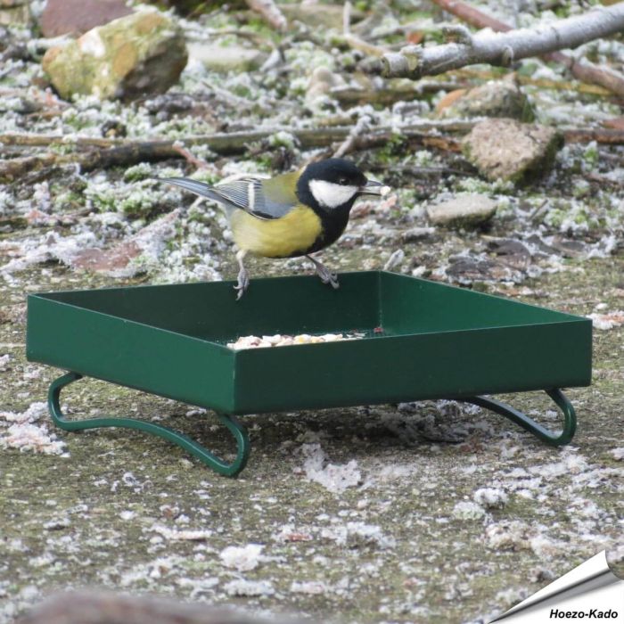 Metall-Grundfuttertisch für Wildvögel (grün)