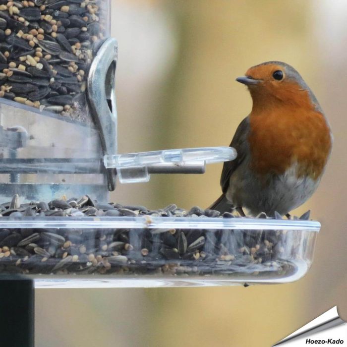Auffangschale für Futtersäulen (210mm)