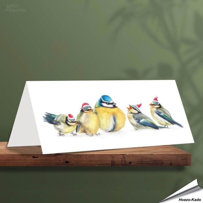 Weihnachtskarte - Mit Blaumeisenmotiven - Von Hand gezeichnet - www.hoezo-kado.de