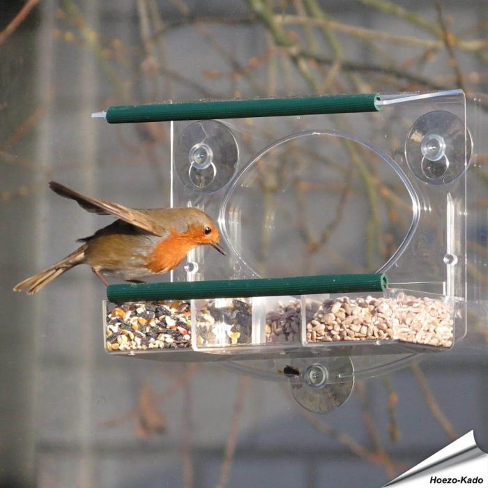 Fenster-Futterhaus für Rotkehlchen online bestellen? www.hoezo-kado.de