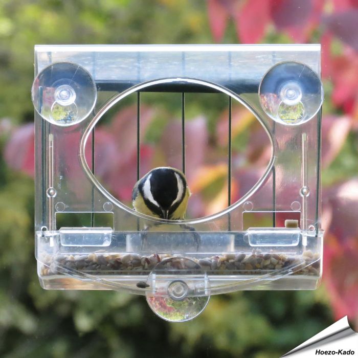 Transparentes Vogelfutterhaus mit Schutzkorb für ans Fenster ✔️ Einfache Montage - Sicherer Halt dank 3 starken Saugnäpfen ✔️ Vögel beobachten ➤ Bestellen auf www.hoezo-kado.de