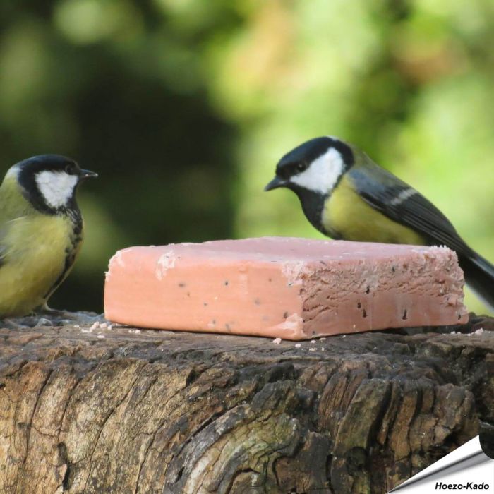 Kohlmeisen beim Energieblock - Beeren (320g)