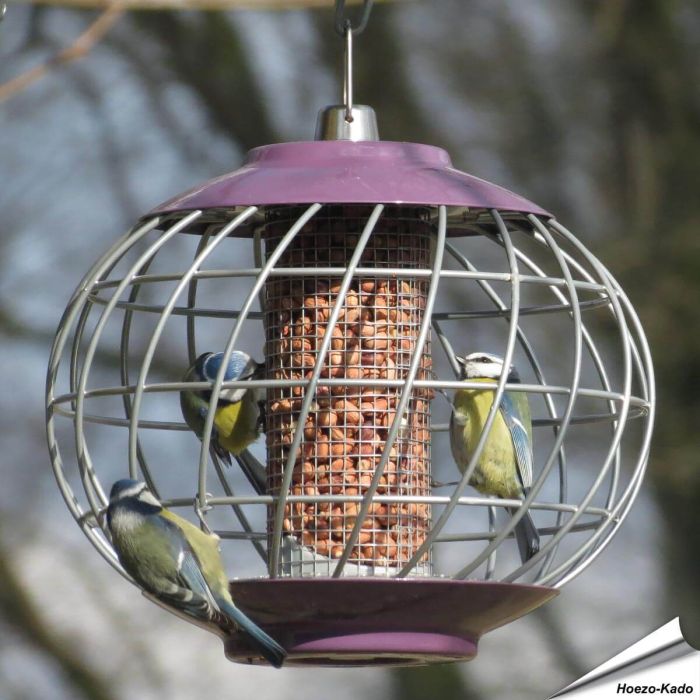 Futtersäule Helix für Erdnüsse - Mit Schutzkäfig - www.hoezo-kado.de