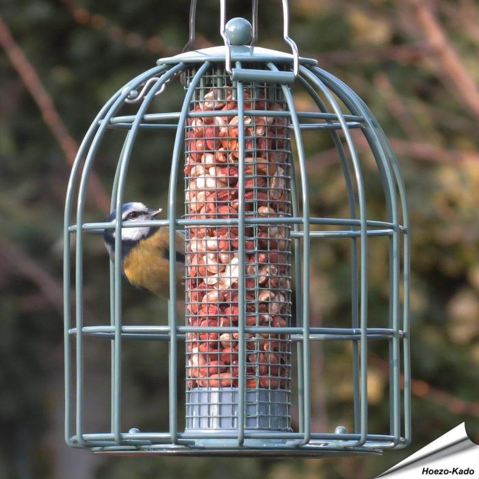 Compact voedersilo voor pinda's met beschermkooi | groen | Hoezo-Kado