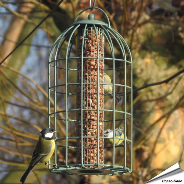 Stelle sicher, dass deine Vögel immer genug zu fressen haben mit unserem Futtersilo mit Schutzkäfig für Erdnüsse!