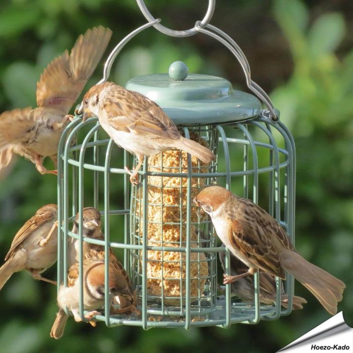 Vetbollenautomaat / Vetblokhouder met beschermkooi (zeegroen)