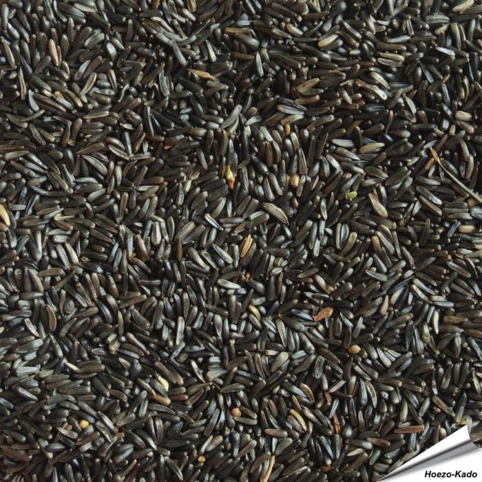Niger-Samen für viele verschiedene Vogelarten ✔️ Hohen Gehalt an Fett und Eiweiß ✔️ Hochwertiges Einzelfuttermittel für Wildvögel ✔️ Direkt online bestellen bei Hoezo-Kado