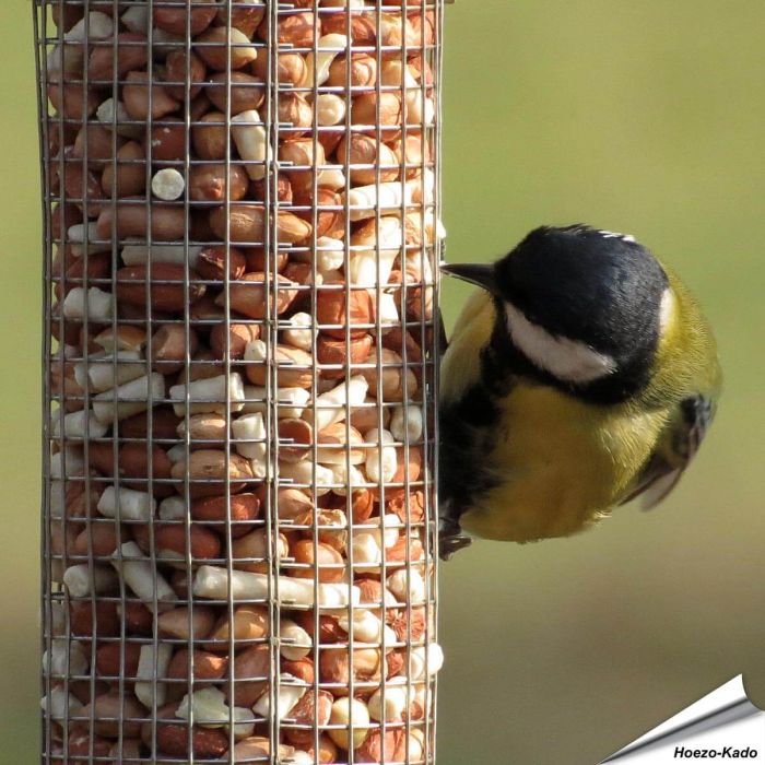 Premium Erdnusssäulen-Mix