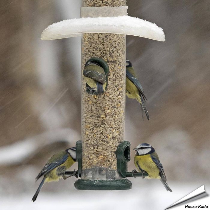 RainAway - Witterungsschutz für Futtersäulen