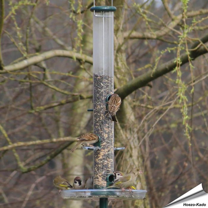 Ring-Pull™ Futtersäule für Samen - grün (580mm)