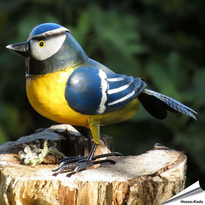 Metallvogel - Blaumeise