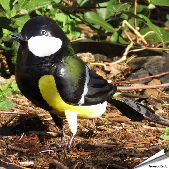 Metallvogel - Kohlmeise 