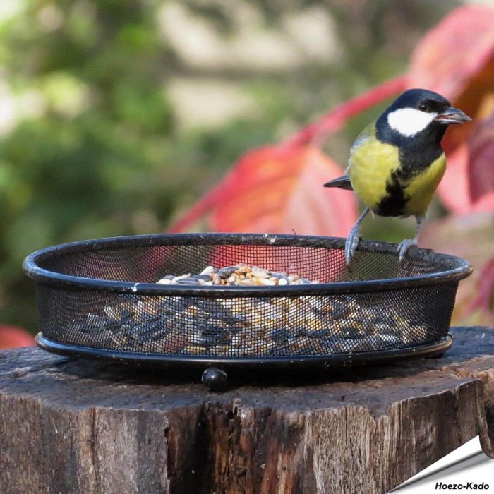 Langlebiger Grundfuttertisch aus Metall ✔️ Hochwertige Verarbeitung ✔️ Leicht zu reinigen ✔️ Optimal für die Fütterung von Wildvögeln im Garten & auf dem Balkon