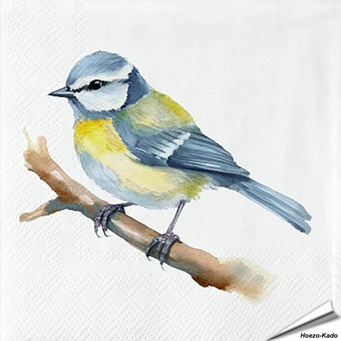 Servietten - Blaumeise - Motiv | 20 Stück | Hoezo-Kado