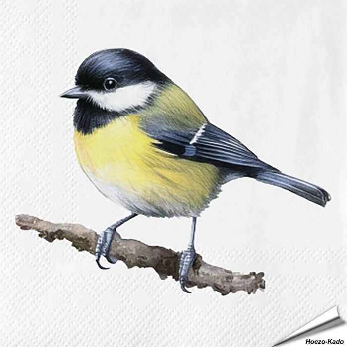 Kohlmeise-Servietten - Vogel-Motiv | 20 Stück | Hoezo-Kado