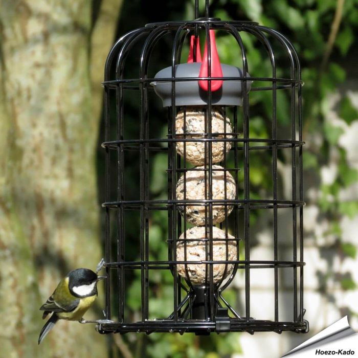 Meisenknödelhalter mit Schutzkorb & Premium - Insektenfettknödel (8 x 90g)