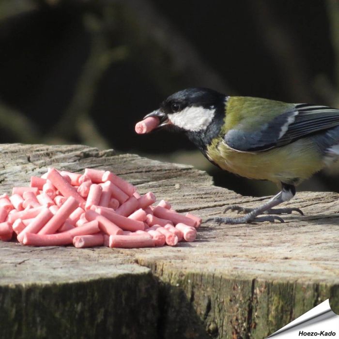 Leckerbissen mit Beeren für Vögel