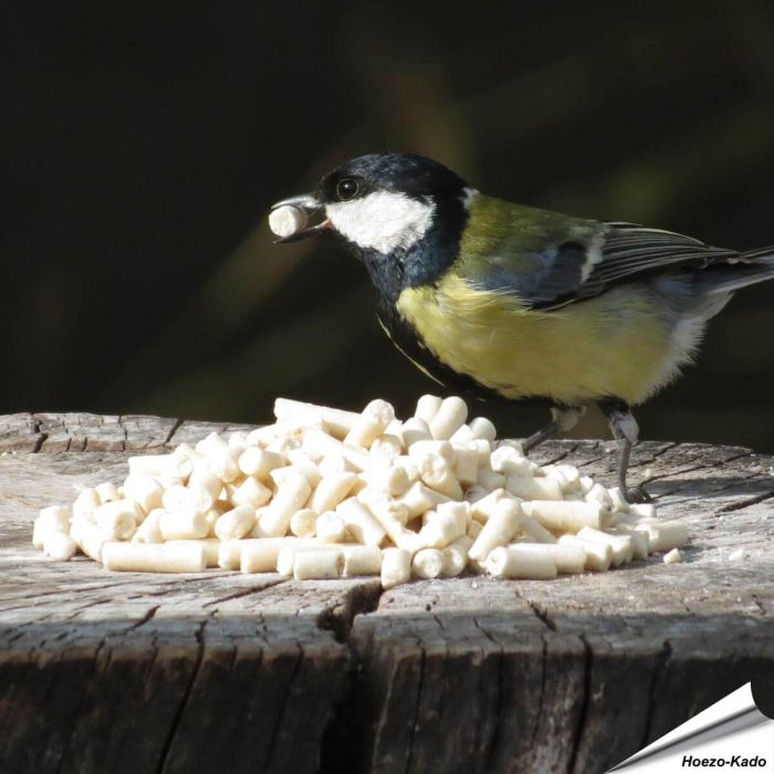 Fett-Leckerbissen mit Mehlwürmer für Meisen