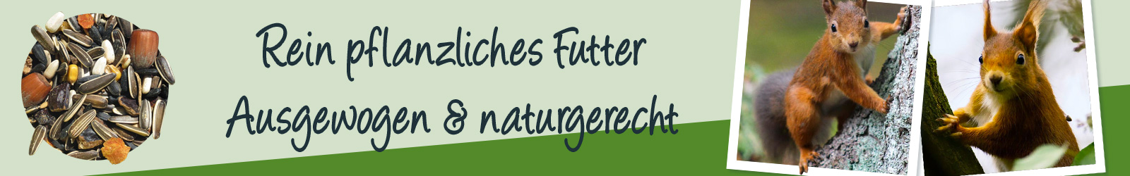Rein pflanzliches Eichhörnchen-Futter von Aniculis - Ausgewogen und naturgerecht Rein pflanzliches Eichhörnchen-Futter von Aniculis - Ausgewogen und naturgerecht