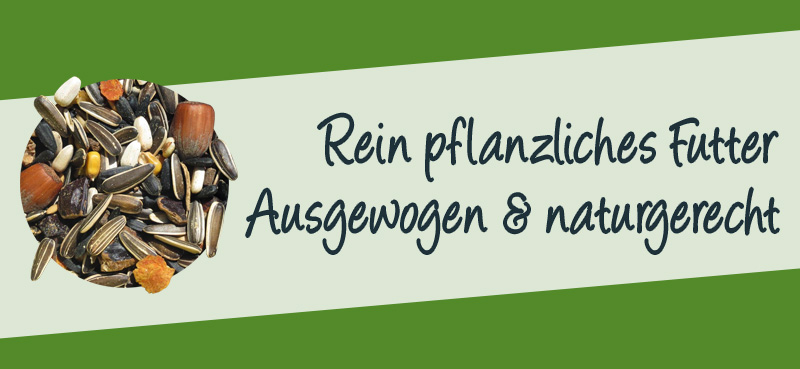 Rein pflanzliches Eichhörnchen-Futter von Aniculis - Ausgewogen und naturgerecht Rein pflanzliches Eichhörnchen-Futter von Aniculis - Ausgewogen und naturgerecht
